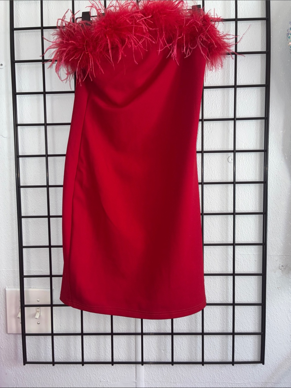 Windsor Red Feather-Trim Mini Dress
